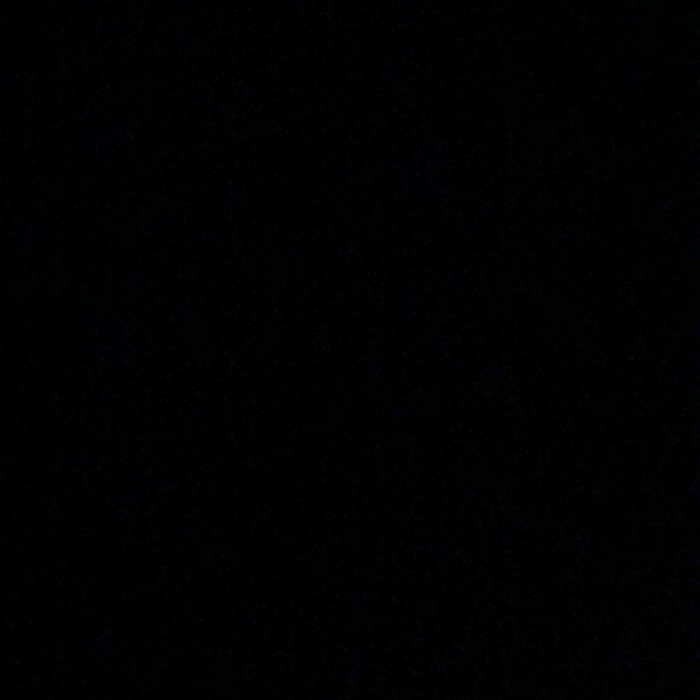 Meet your Posher, Maddie